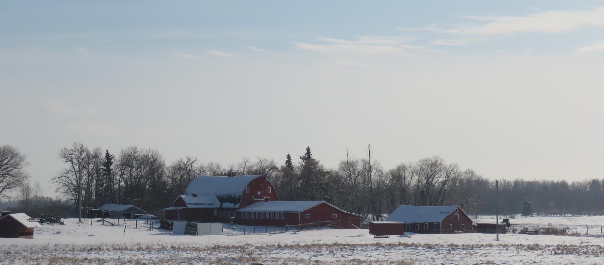 Rural Strathcona County Home Sales December 2020